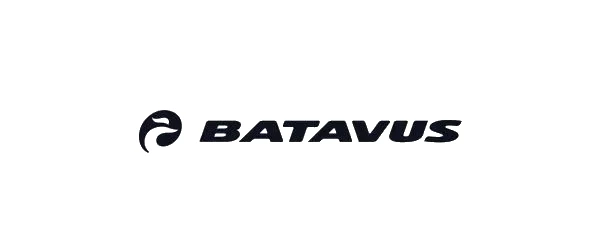 Batavus cyklar